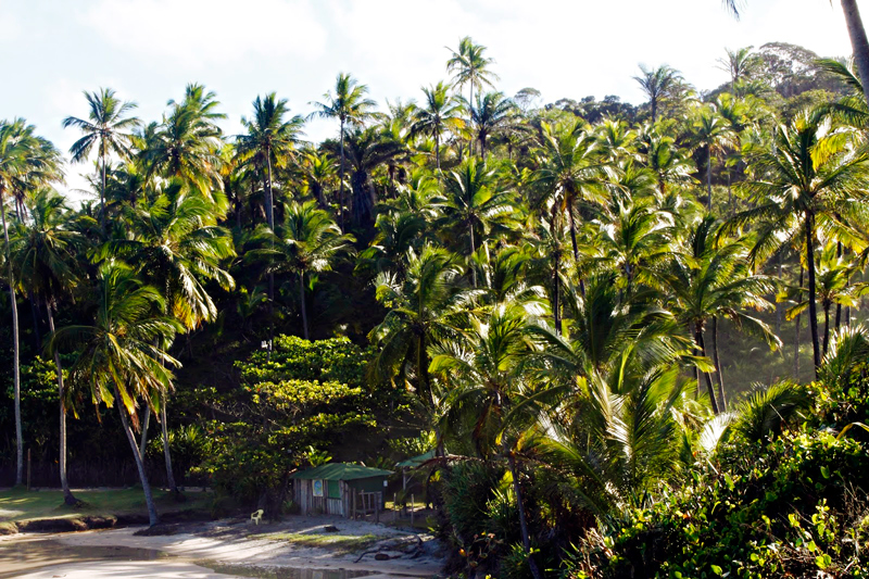 Itacaré, Ilhéus, Bahia, Brasil, Brazil, Dicas de Viagem, Praia do Siriaco