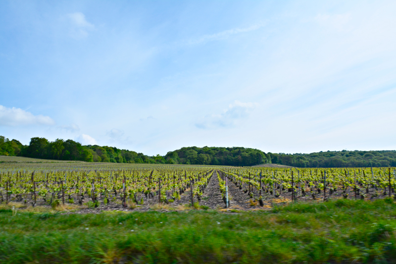 Champagne Ardenne, France, França