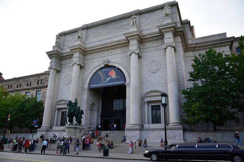 American Museum of Natural History em New York