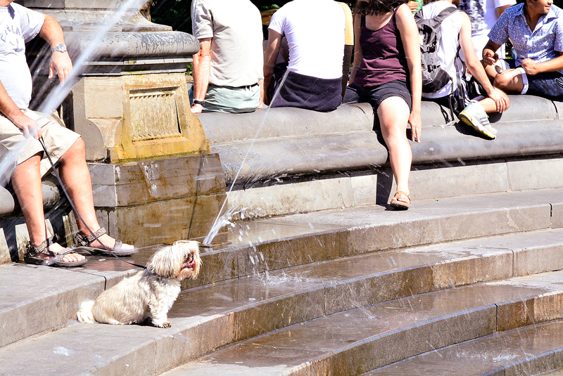 Washington Square Garden de New York