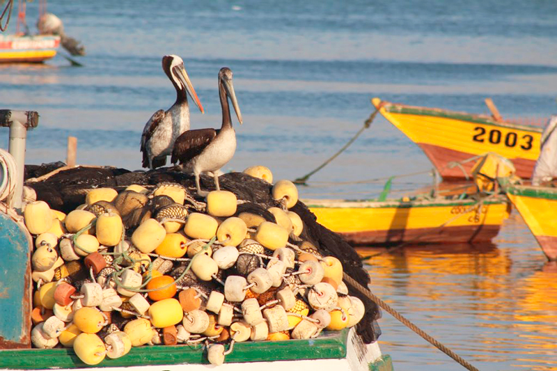 Puerto de Coquimbo no Chile