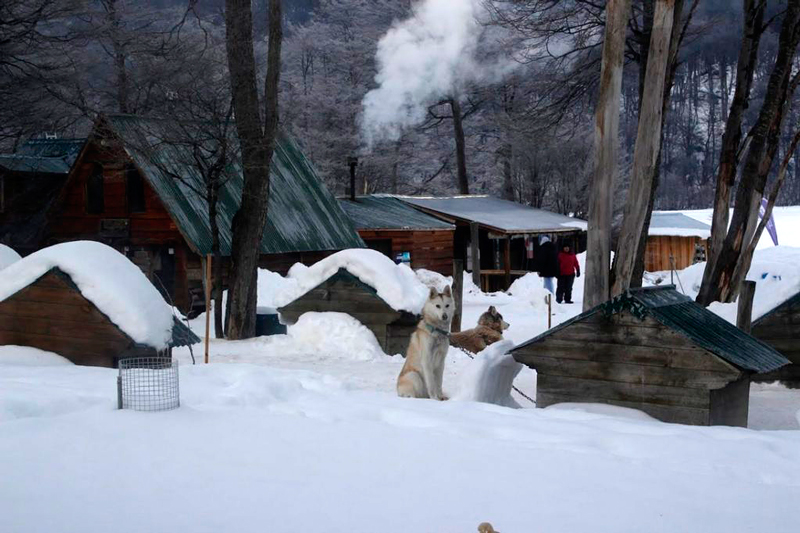 Canil de Huskies em Ushuaia na Argentina