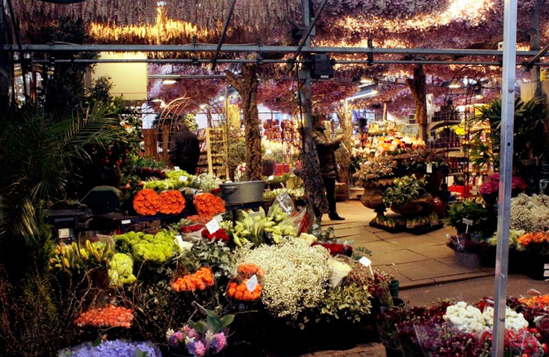 Bloemenmarkt em Amsterdã na Holanda