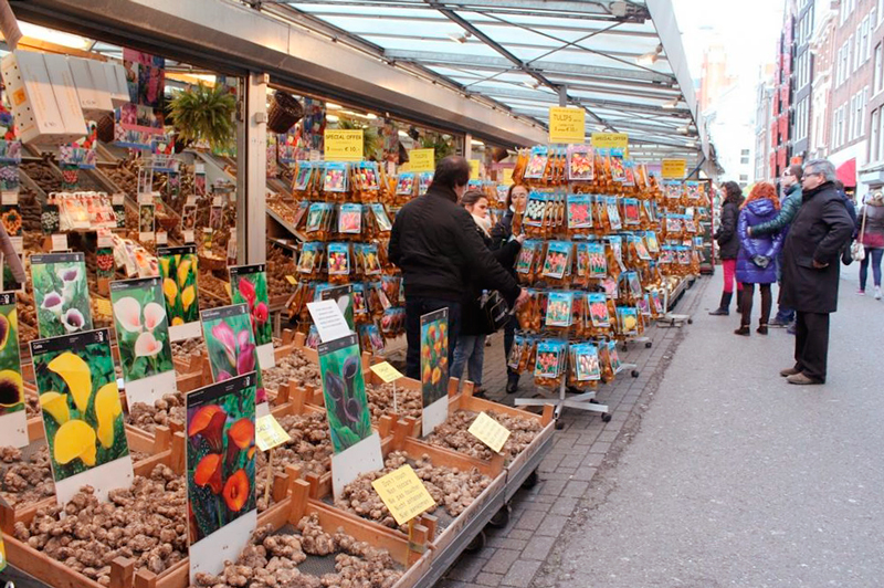Bloemenmarkt em Amsterdã na Holanda