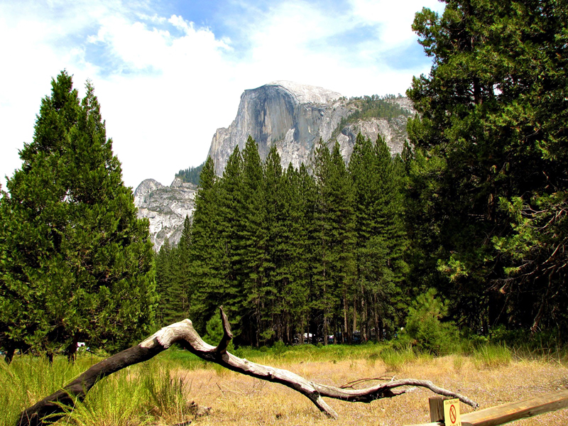 Yosemite National Parque, California, Estados Unidos