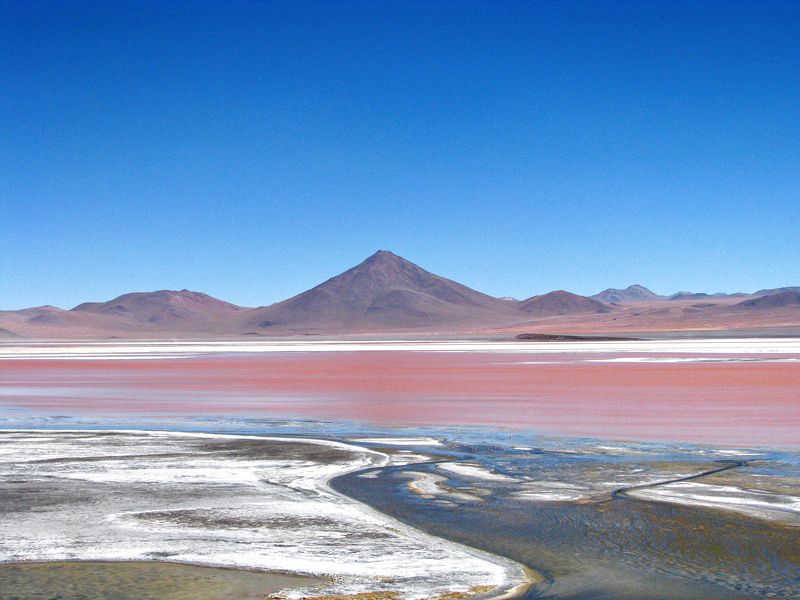 Laguna no salar, Bolívia, Laguna Colorada