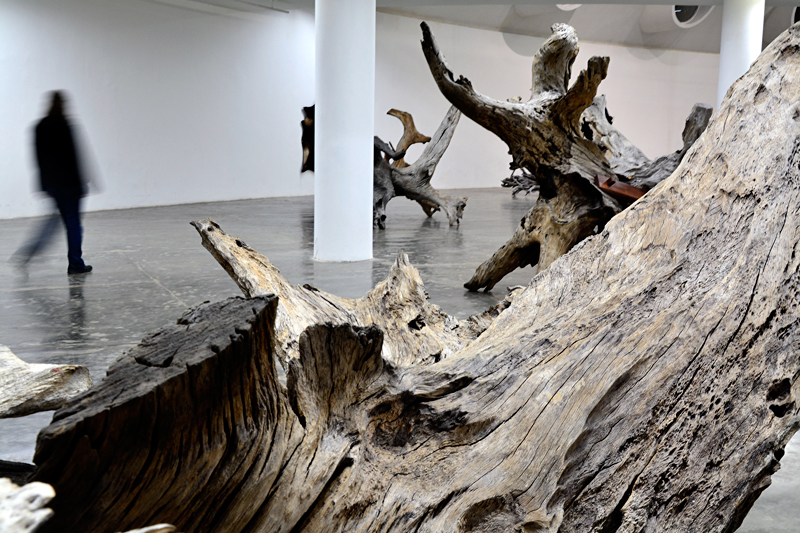 ai wei wei, raízes, exposição, arte contemporânea, são paulo, brasil, brazil, contemporary art, roots
