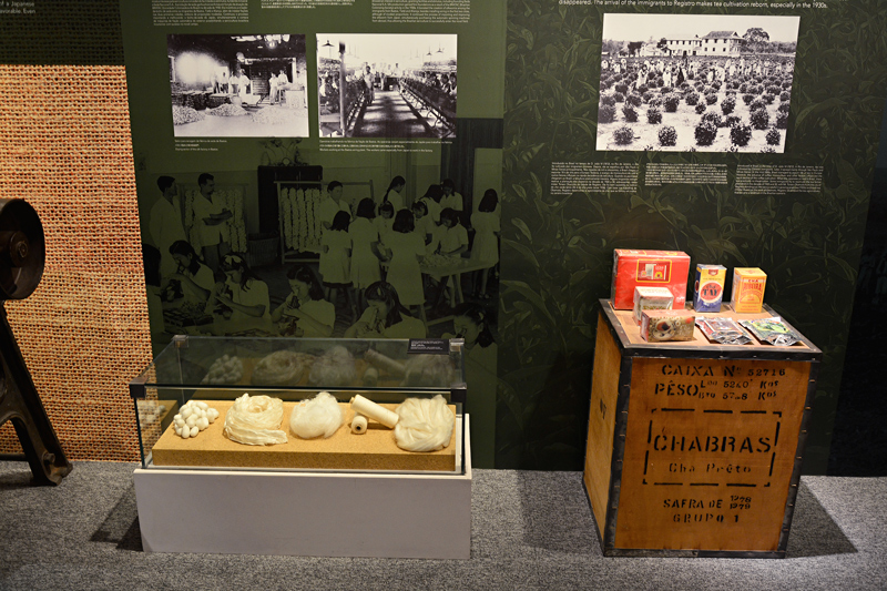 bunkyo, MHIJB, Museu Histórico da Imigração Japonesa no Brasil, sao paulo, bairro da liberdade, brasil, cultura japonesa