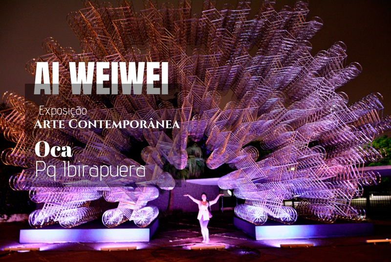 Exposição Raízes de Ai Weiwei na OCA do Parque do Ibirapuera