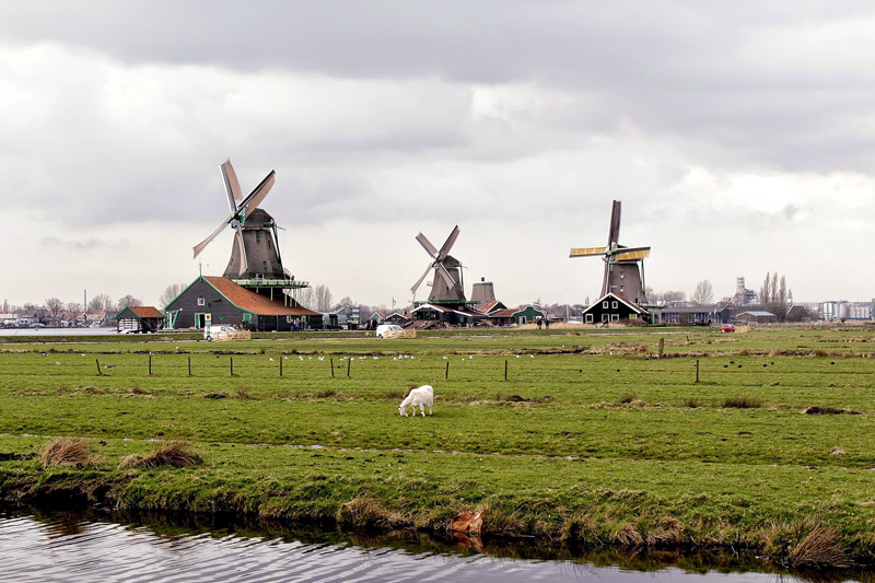 moinhos de Zaanse Schans na Holanda