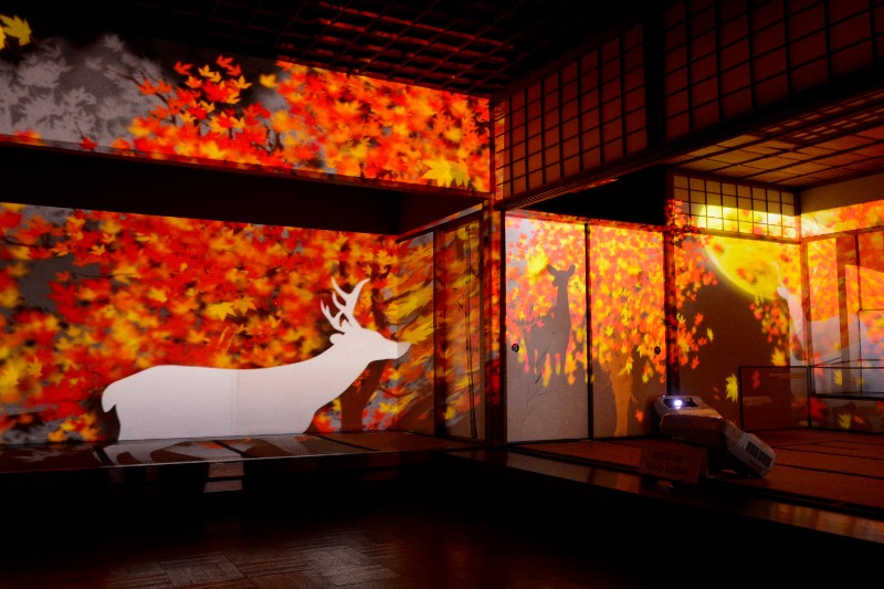 Projeção da Visualbeats das Quatro Estações do Ano no evento Japão Digital no Pavilhão Japonês