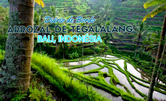 Diário de Bordo: Os arrozais de Bali, Indonésia, Tegalalang