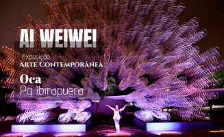 Exposição Raízes de Ai Weiwei na OCA do Parque do Ibirapuera